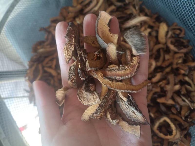 傲宇药材，合欢皮干净诚信药材，量大优惠，欢迎咨询