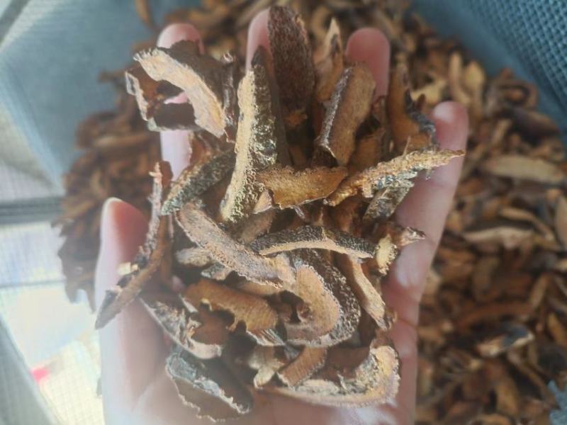 傲宇药材，合欢皮干净诚信药材，量大优惠，欢迎咨询