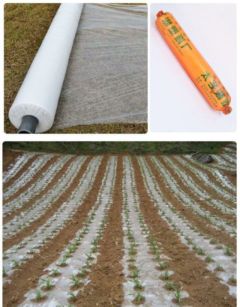 农用地膜一次性地膜批发种菜除草工程膜混凝土养护膜工地白