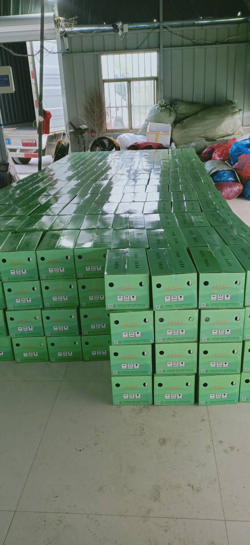 翠冠梨