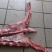 带肉牛胸骨，肉多，批发价，照片是实照，全国可发货
