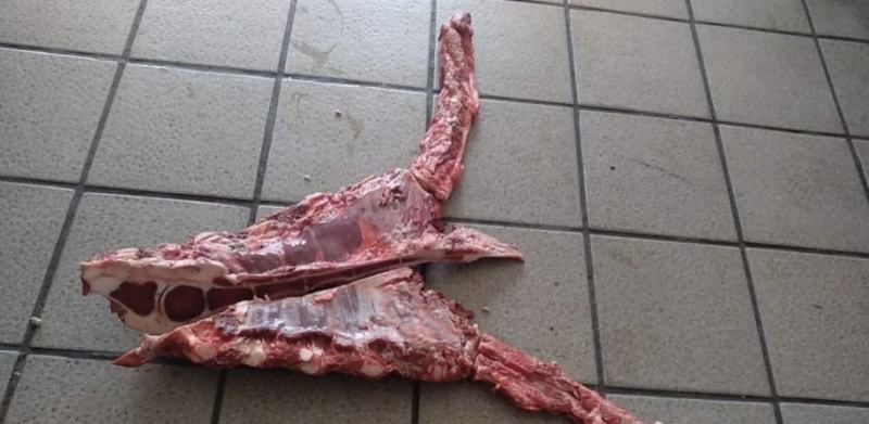 带肉牛胸骨，肉多，批发价，照片是实照，全国可发货