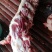 带肉牛胸骨，肉多，批发价，照片是实照，全国可发货
