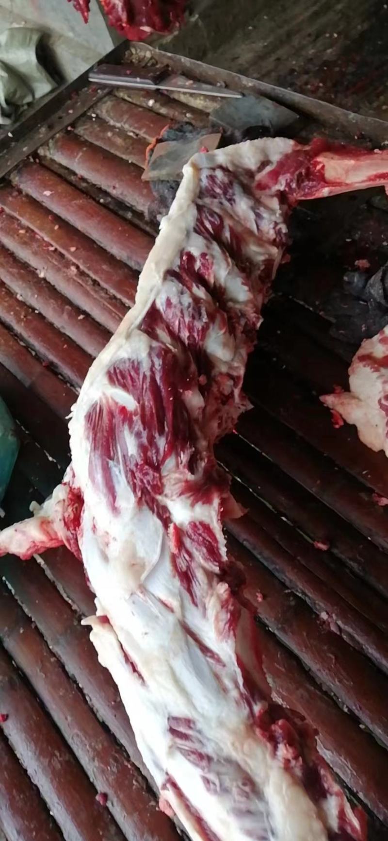 带肉牛胸骨，肉多，批发价，照片是实照，全国可发货