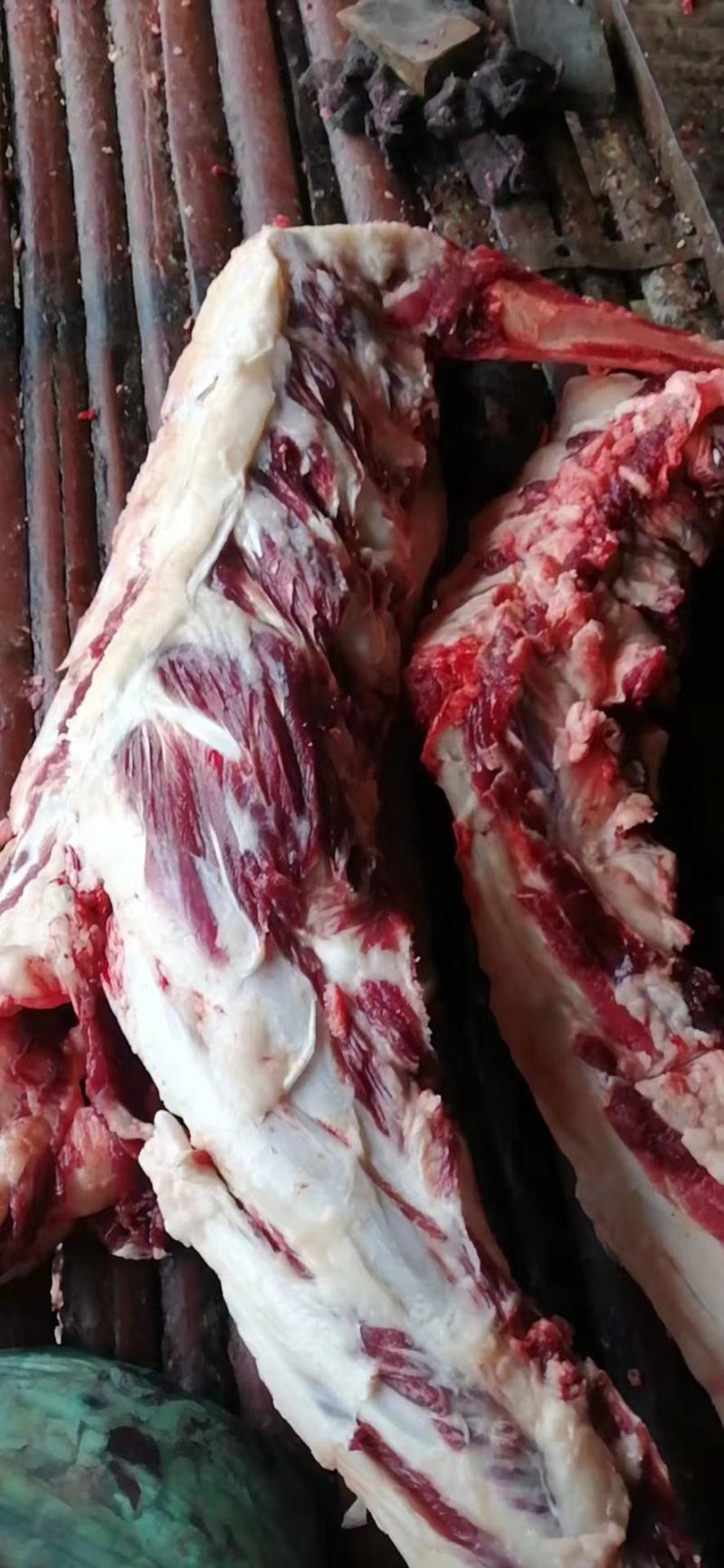 带肉牛胸骨，肉多，批发价，照片是实照，全国可发货