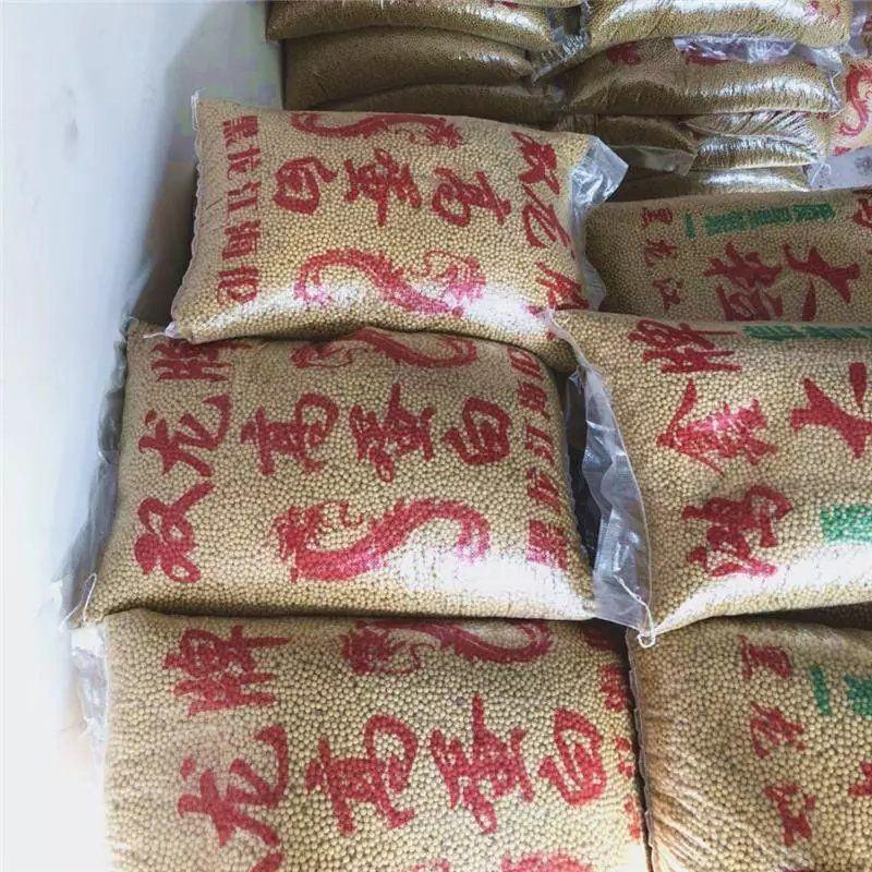 新品新豆黑龙江笨黄豆大豆浆豆腐大包装商用大量原料一百斤装