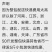 批发榨油大颗粒白沙花生米100斤整包高出油率