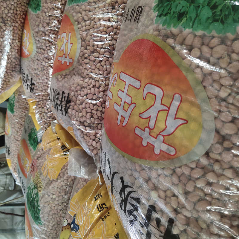 批发榨油大颗粒白沙花生米100斤整包高出油率