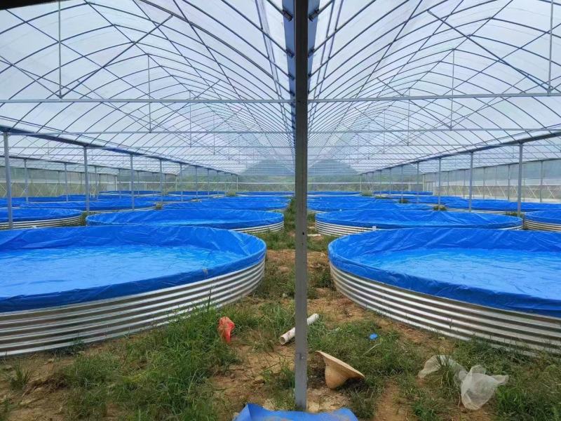镀锌板帆布池方形圆形刀刮布养殖池蓄水池圆桶支架尺寸定做厂