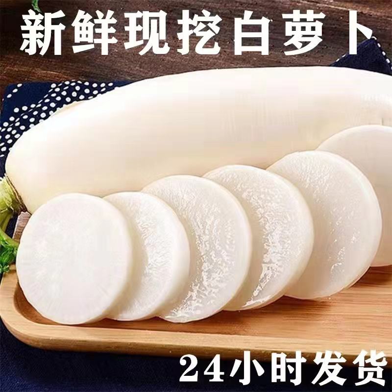 白萝卜产地直销，保质保量，24小时在线服务。