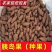 山东胰岛果红果菊芋红皮洋姜纺锤洋姜产地直发