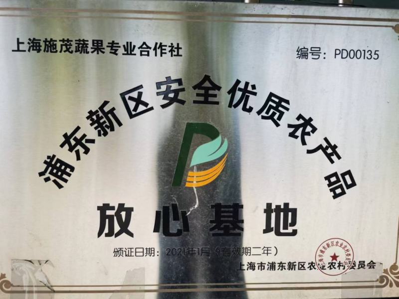 (热销)白玉枇杷产区直供货源充足量大从优全国发货欢迎订购