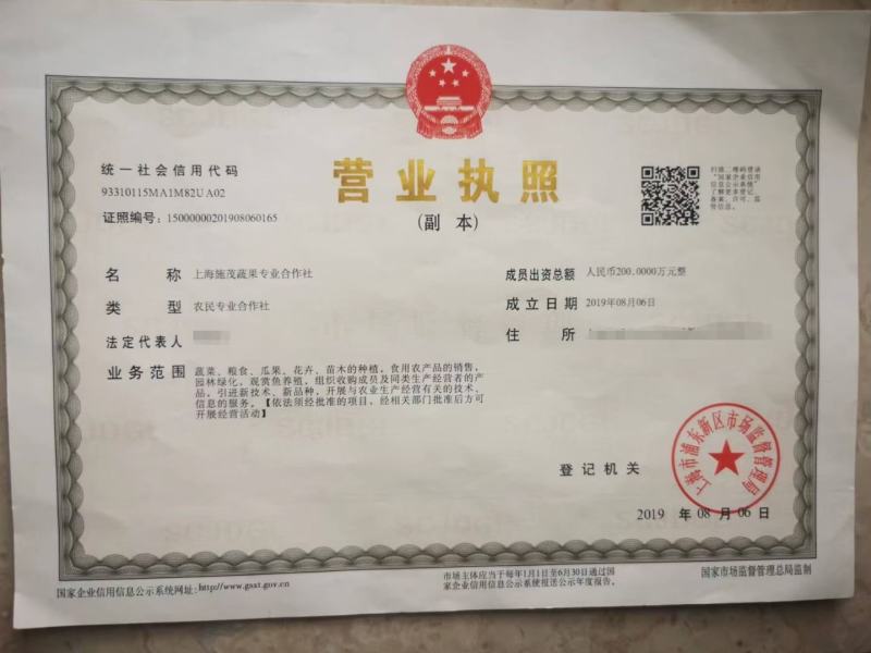 (热销)白玉枇杷产区直供货源充足量大从优全国发货欢迎订购