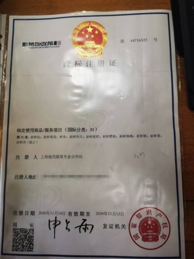 (热销)白玉枇杷产区直供货源充足量大从优全国发货欢迎订购