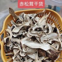 赤松茸干货特产大球盖菇切片干蘑菇松茸菌煲汤