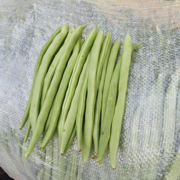 什么豆都掉价了