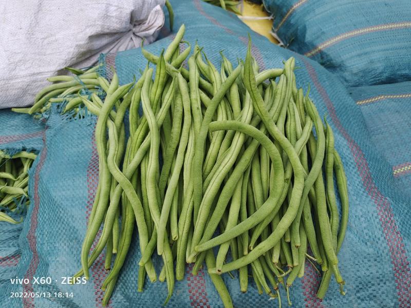 什么豆都掉价了