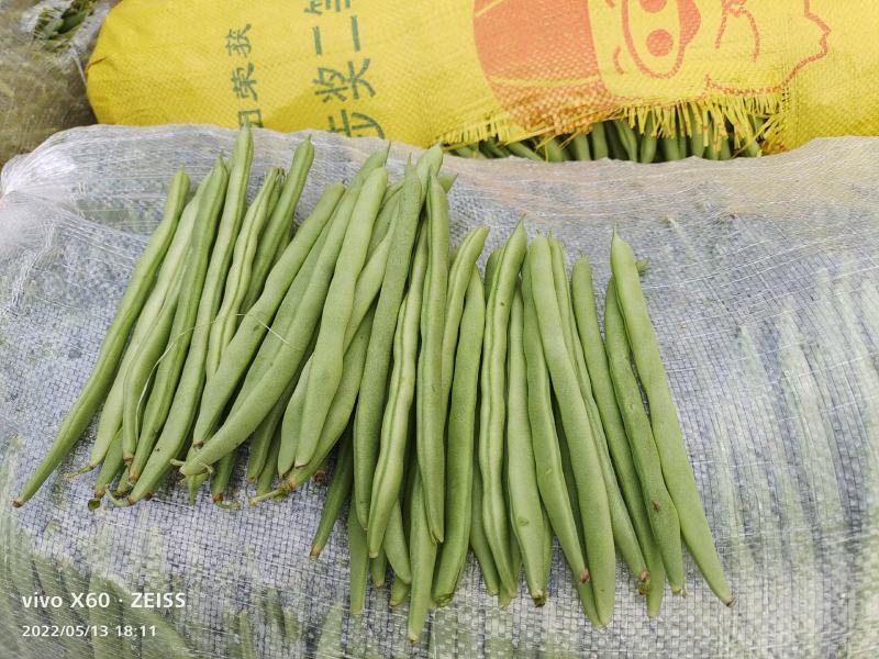 什么豆都掉价了