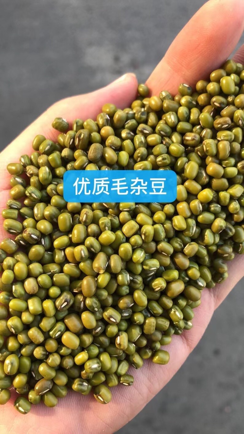 绿豆毛杂油杂精品现货批发毛绿豆油绿豆特价出