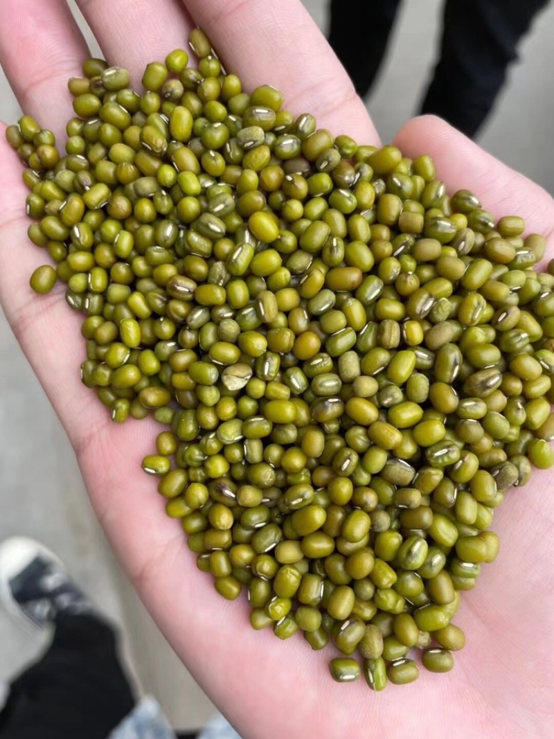绿豆毛杂油杂精品现货批发毛绿豆油绿豆特价出