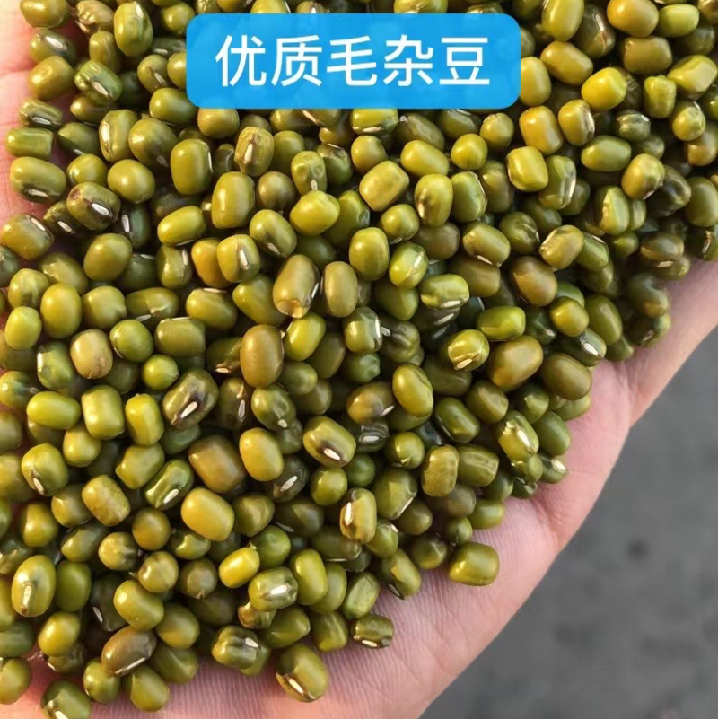 绿豆毛杂油杂精品现货批发毛绿豆油绿豆特价出