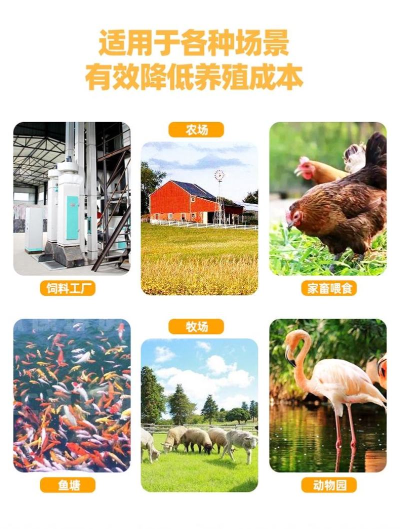 饲料颗粒机小型220v家用养殖设备鸡鸭鹅牛羊猪兔玉米秸秆