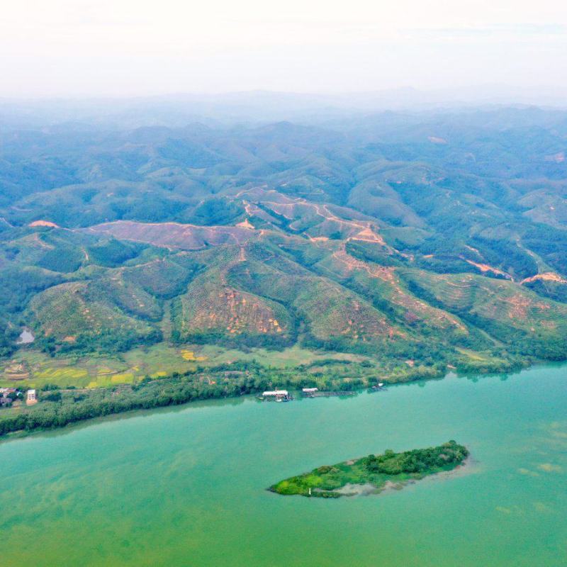 【转让】3000亩广西梧州藤县临江生态综合开发基地