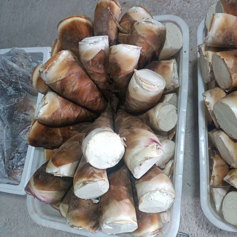 思茅甜笋精品优质甜竹笋货源充足量大从优，来电优惠