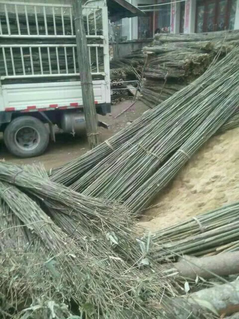 木竹