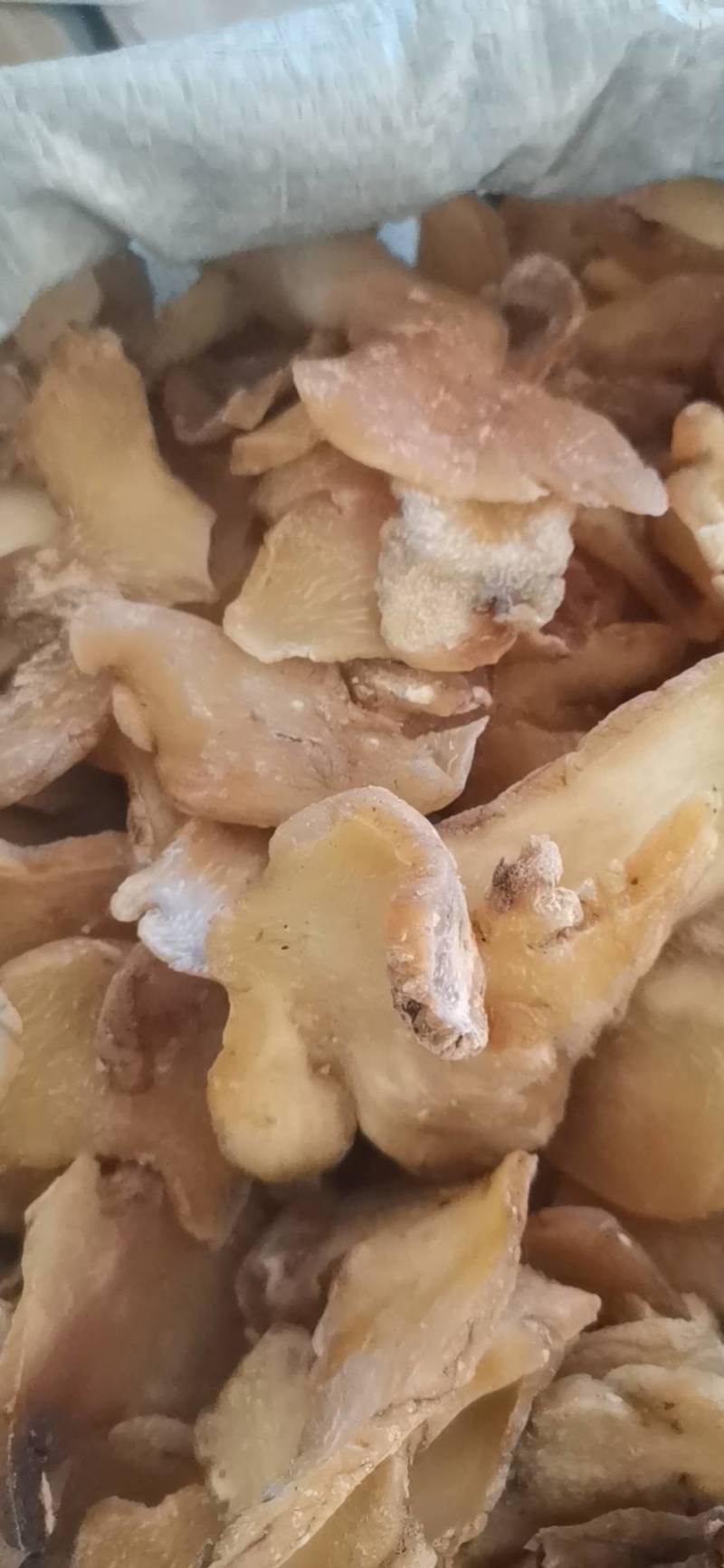 黄精野生正宗九华山生黄精片泡水酒无硫中药材新鲜食用特级干