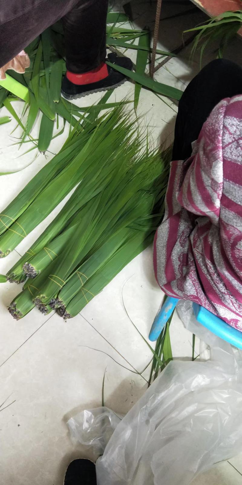 芦苇叶，粽叶，小苇叶，欢迎新老客户定购