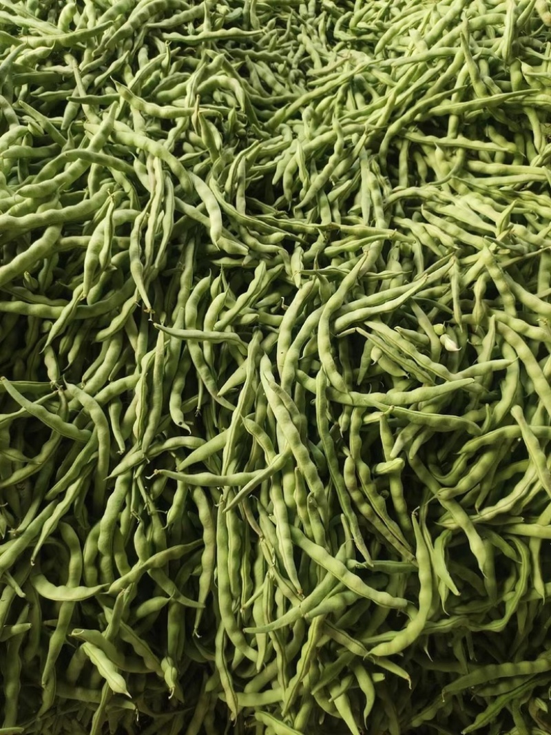 肉豆大青豆价格暴跌❗️不发泡不麻点不🈳️心