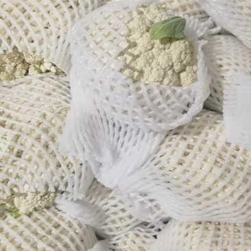 陕西松花，精品散花，大量上市