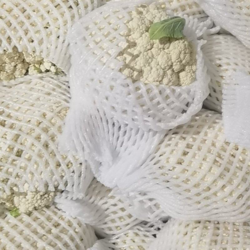 陕西松花，精品散花，大量上市