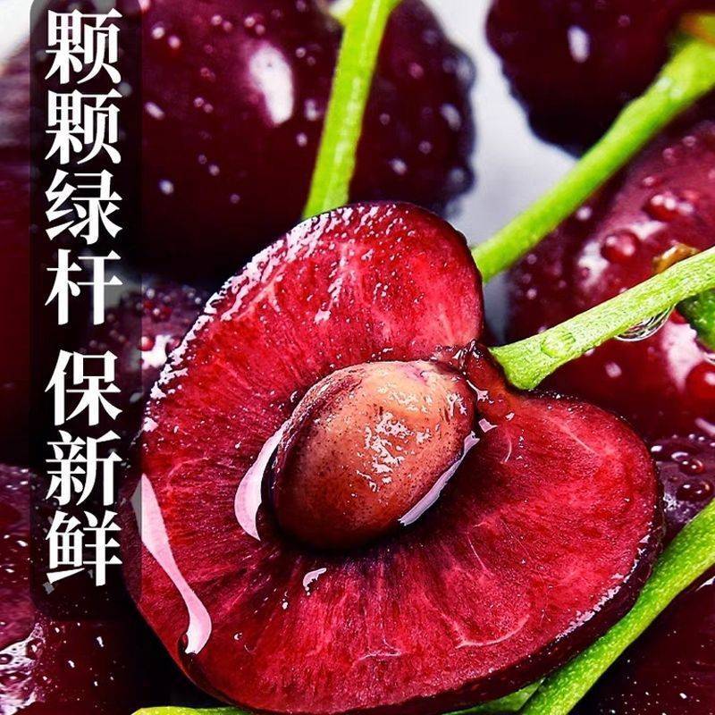 大樱桃沂蒙山根据地樱桃果大贼甜现摘现发保鲜精品包邮