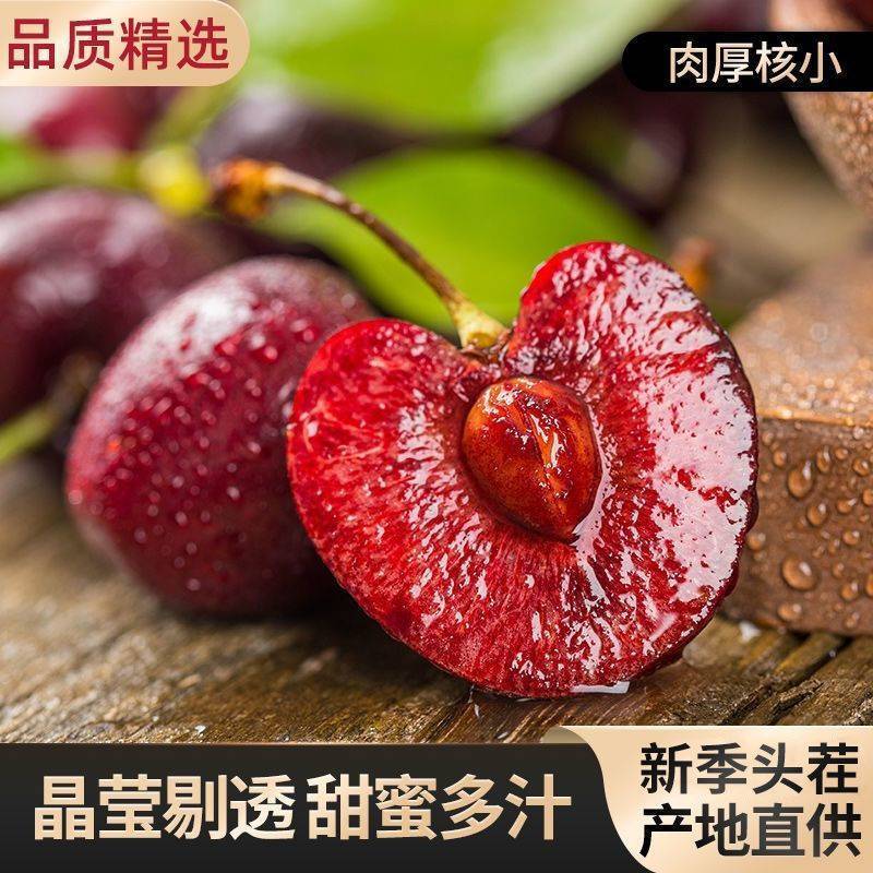 大樱桃沂蒙山根据地樱桃果大贼甜现摘现发保鲜精品包邮