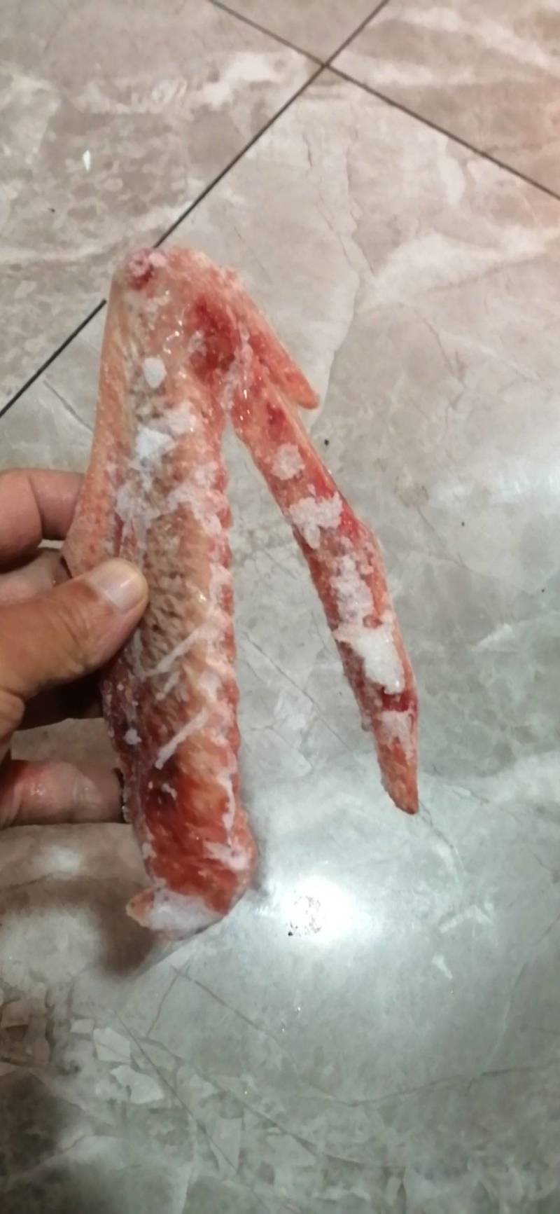 东北鹅翅