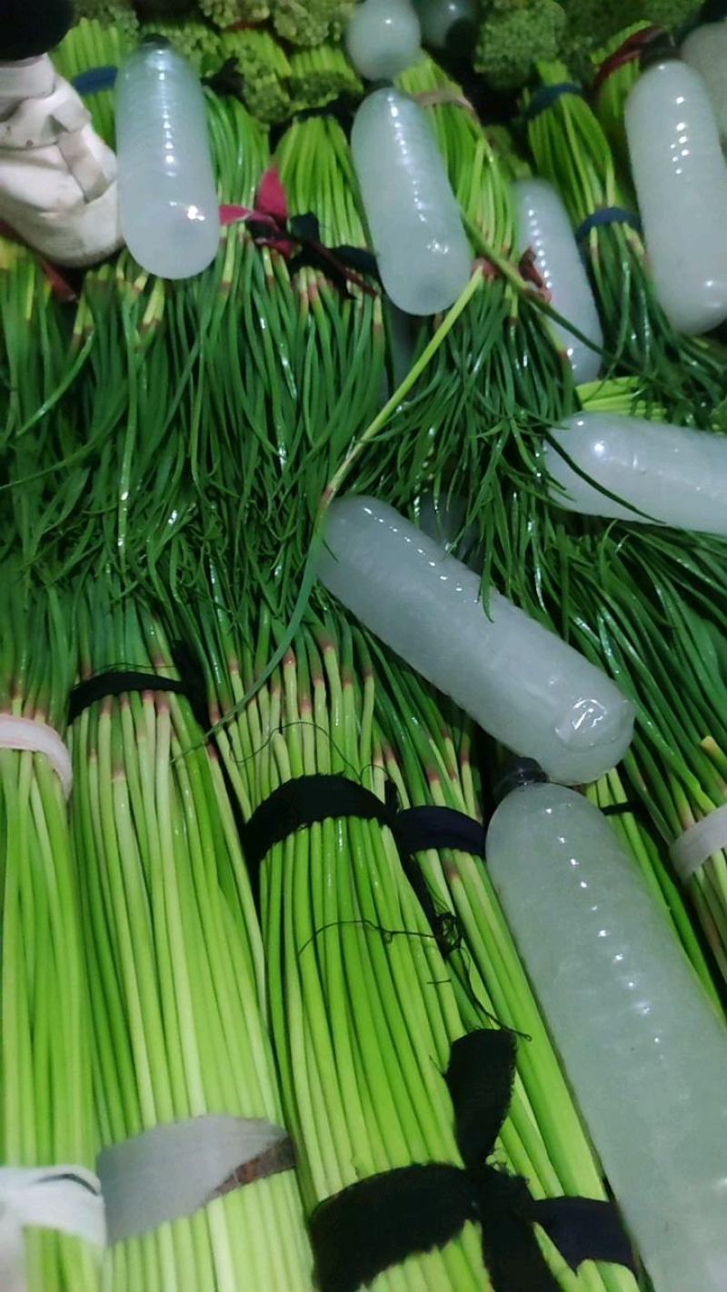 【厂家直销常年保鲜冰袋冰块冰瓶各种冰块冰瓶】