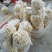 嫩菱角米潮州金沙江水源活水菱角新鲜现剥质量上乘！