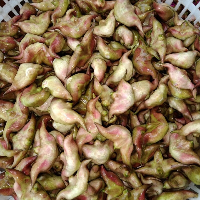 嫩菱角米潮州金沙江水源活水菱角新鲜现剥质量上乘！
