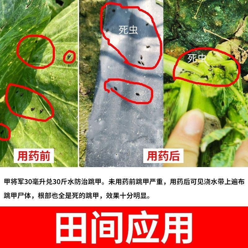 跳甲专用药杀虫农药啶虫哒螨灵红蜘蛛蓟马飞虱蚜虫杀虫剂农药