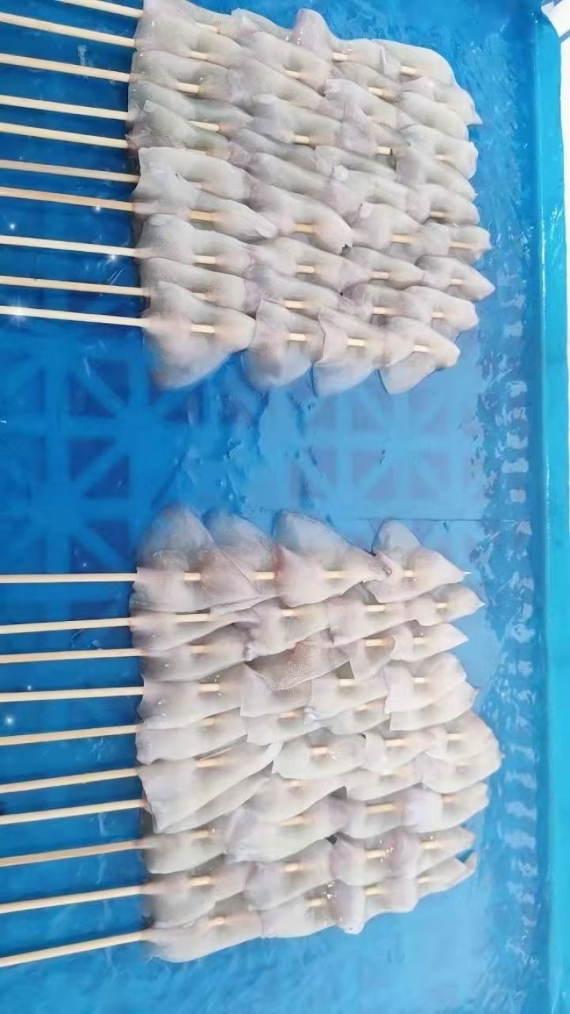 真鱿