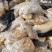 饼干下脚料，饲料原料干爽耐保存