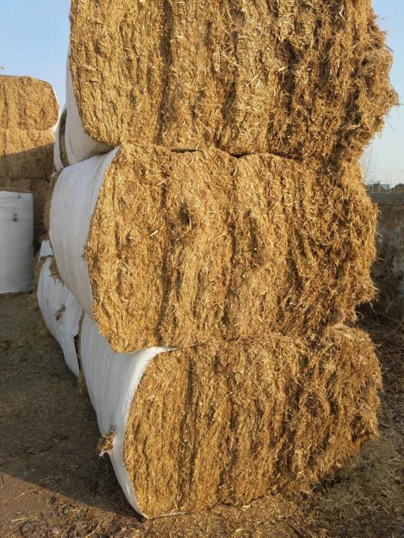 小麦秸秆原草，货源充足有需要可以联系，各种规格