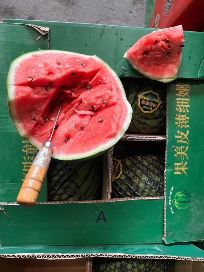 东台西瓜8428美都／小兰，金星瓜，早春红玉