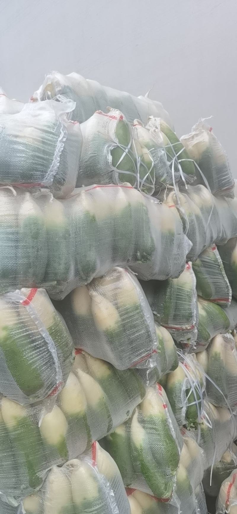 青萝卜