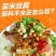 米豆腐送7种配料贵州特产遵义小吃米豆腐米凉粉凉菜米