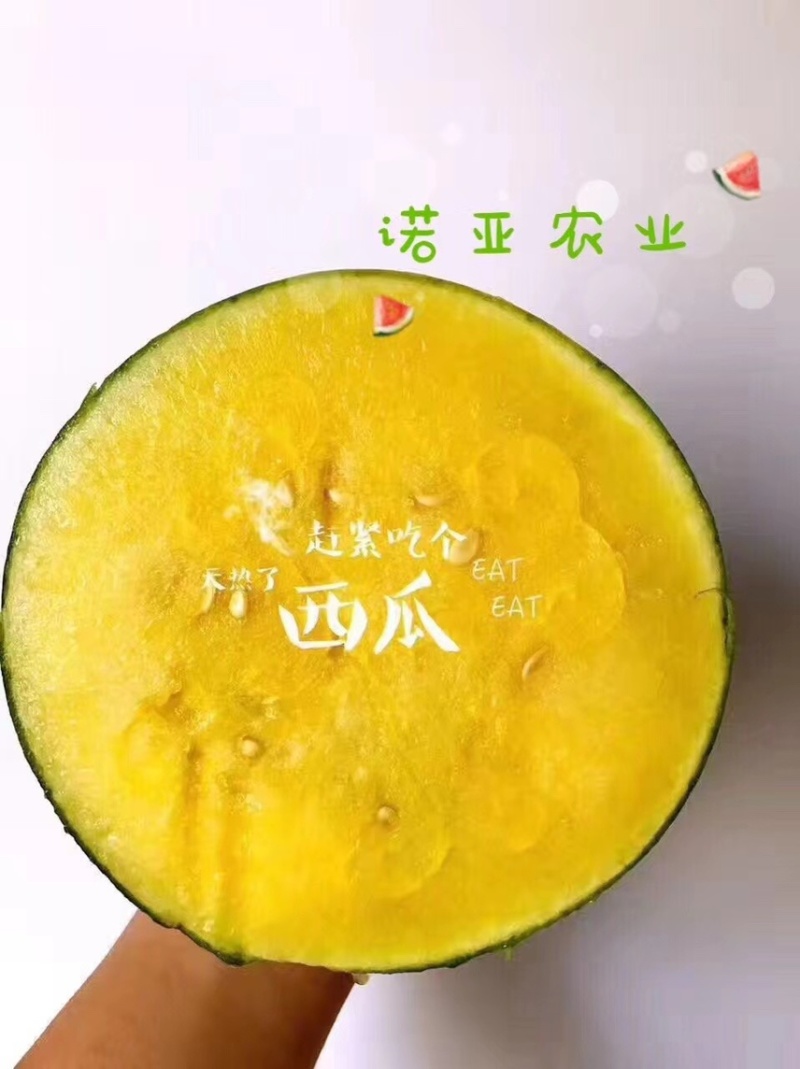 西瓜/特小凤（农友小兰）西瓜皮薄汁多口感甘甜美味