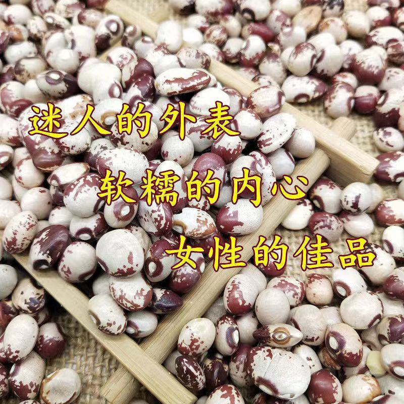 熊猫豆煮粥煲汤花饭豆五谷粗粮花芸豆奶花豆袋装50斤