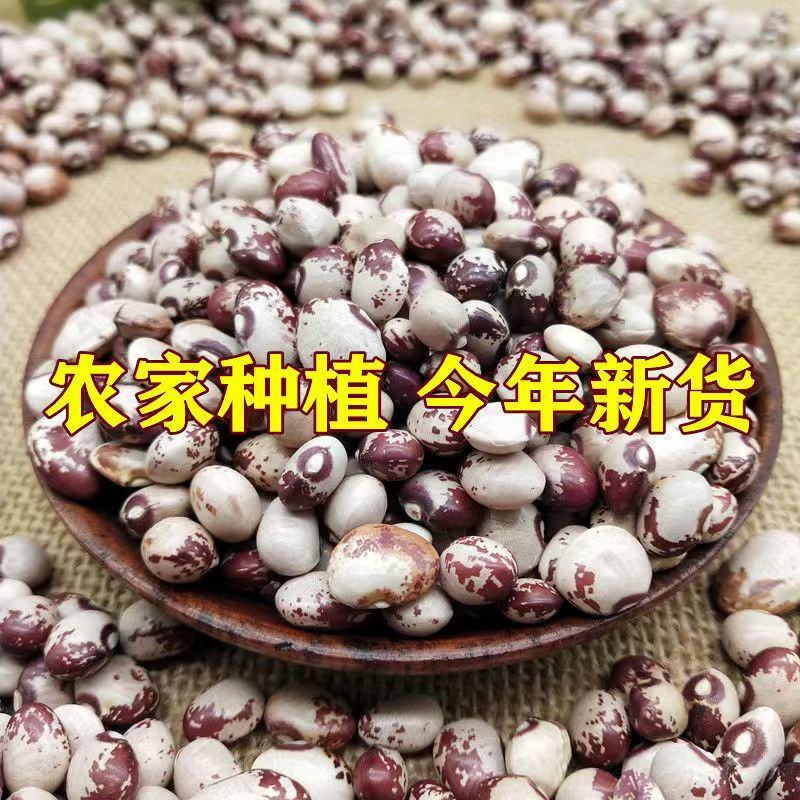 熊猫豆煮粥煲汤花饭豆五谷粗粮花芸豆奶花豆袋装50斤